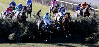 How many fences in Grand National