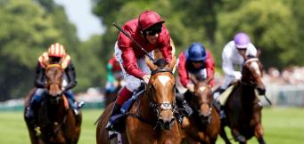 Triumph Hurdle Cheltenham Festival