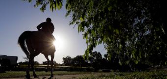 Cheltenham Results 2020 - Cheltenham Festival