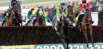 Cheltenham Gold Cup Winners List