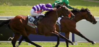 Racing statistics Savills Chase