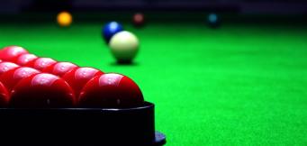 How much is Ronnie O Sullivan worth