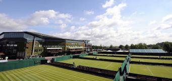 Grass Court Tennis players