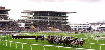 Gordon Elliott Cheltenham runners 2026 Festival