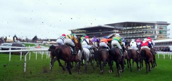 Cheltenham horse racing