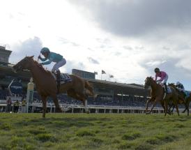 Horse Racing Betting Ascot Long Walk Hurdle