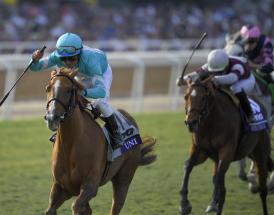 Famous Cheltenham Gold Cup Wins