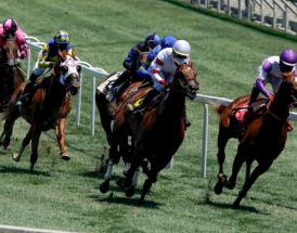 Different types of horse racing