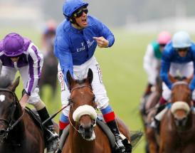 Best Horse Racing Betting