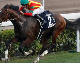 Newmarket Tips Today Cambridgeshire 2020