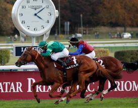 Horse Racing Blogs To Follow