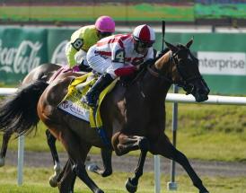 Best trends Ebor Handicap York