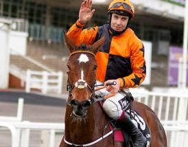 Horse racing fixtures 2022