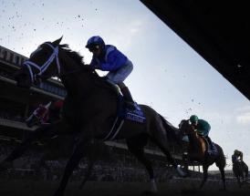 Trends International Hurdle Cheltenham