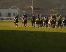 Statistics Clarence House Chase