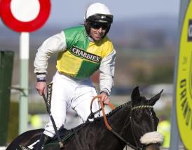 Cotswold Chase: Trends