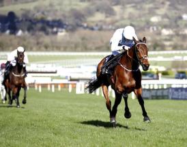 Irish Champion Hurdle statistics