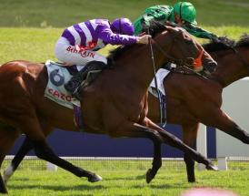 Horse Racing Tips Wednesday 15th June