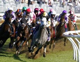 Horse Racing Tips Saturday 11th June