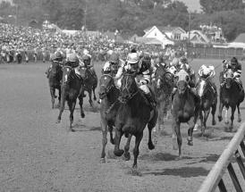 My Favourite Racehorse Remembering The Great Chaplins Club
