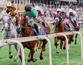 Horse racing jockeys riding