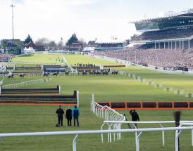 Antepost Tips for 2026 Cheltenham Festival