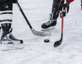 Winter Classic Predictions