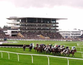 Gordon Elliott Cheltenham runners 2026 Festival