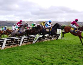 Rule 4 horse racing
