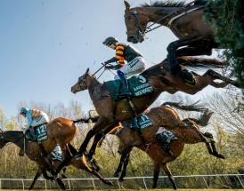 Irish trained horses Grand National