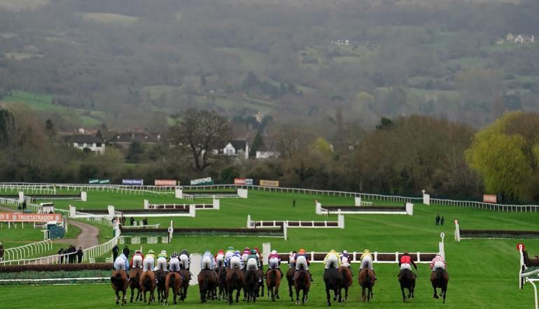 Cheltenham Tips