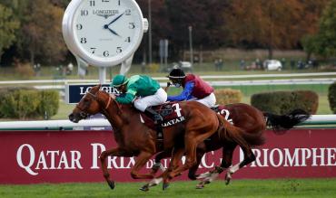 Horse Racing Blogs To Follow