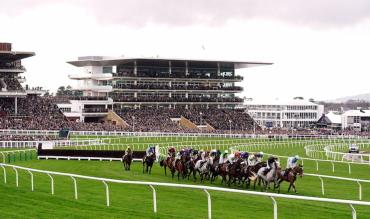 Cheltenham Festival Winners