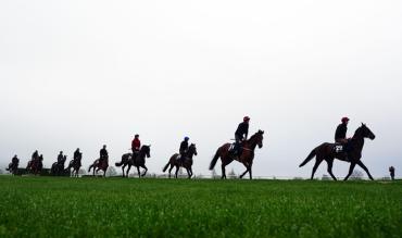 Cheltenham Tips Day 3